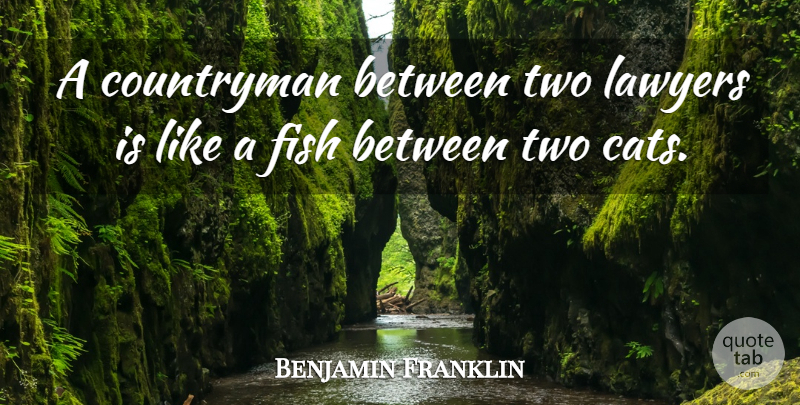 Benjamin Franklin Quote About Humorous, Cat, Law: A Countryman Between Two Lawyers...