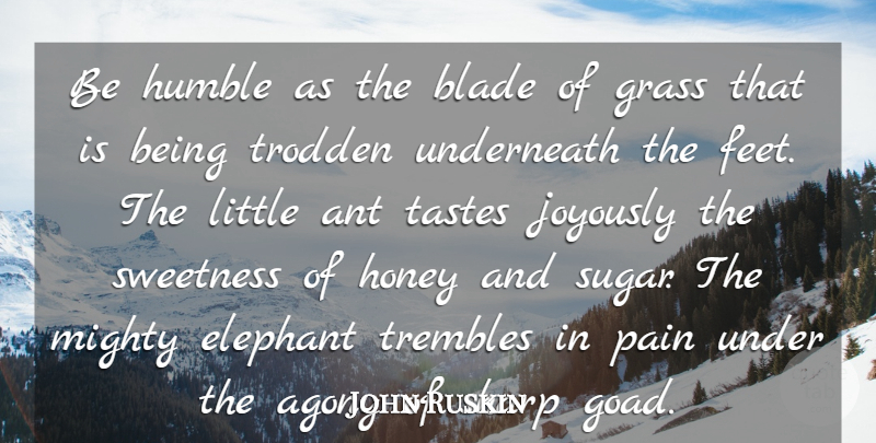 John Ruskin Quote About Agony, Ant, Blade, Elephant, Grass: Be Humble As The Blade...