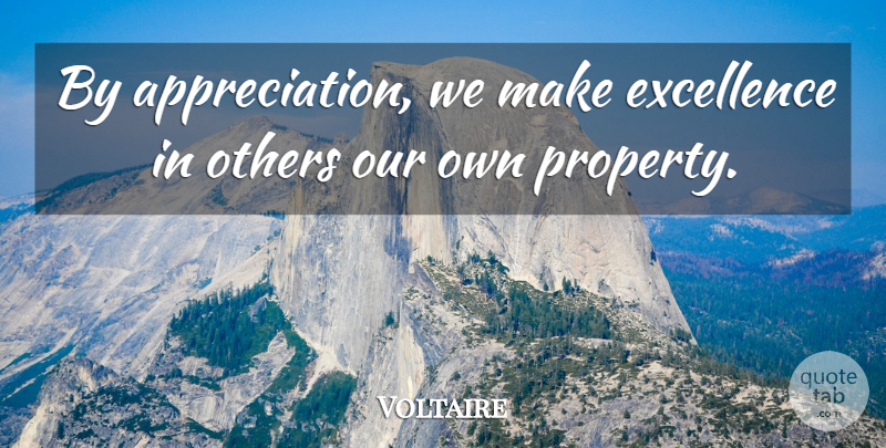 Voltaire Quote About Funny, Appreciation, Perfection: By Appreciation We Make Excellence...