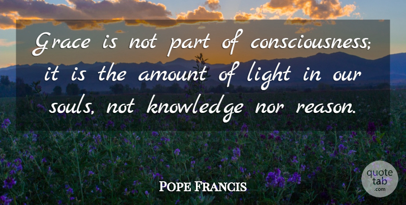 Pope Francis Quote About Light, Soul, Grace: Grace Is Not Part Of...
