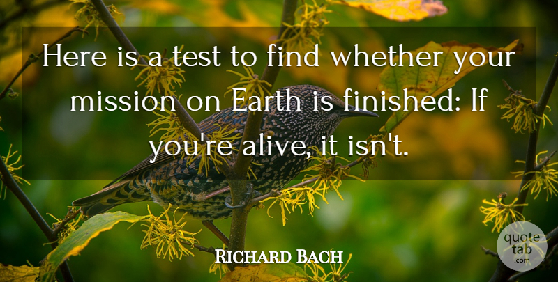 Richard Bach Quote About American Novelist, Whether: Here Is A Test To...