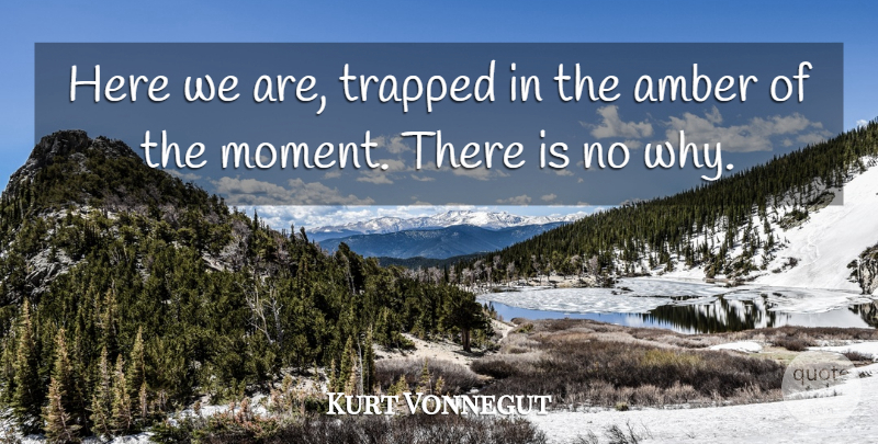 Kurt Vonnegut Quote About Time, Hipster, Amber: Here We Are Trapped In...