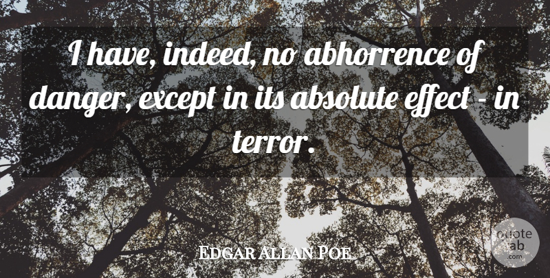 Edgar Allan Poe Quote About Literature, Danger, Terror: I Have Indeed No Abhorrence...