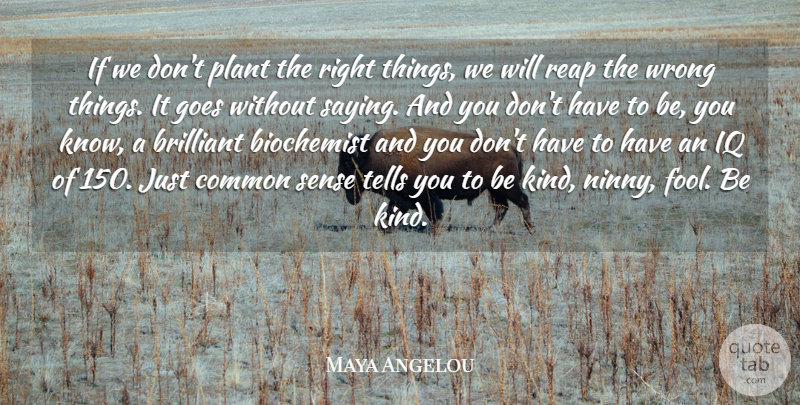 Maya Angelou Quote About Common Sense, Be Kind, Fool: If We Dont Plant The...
