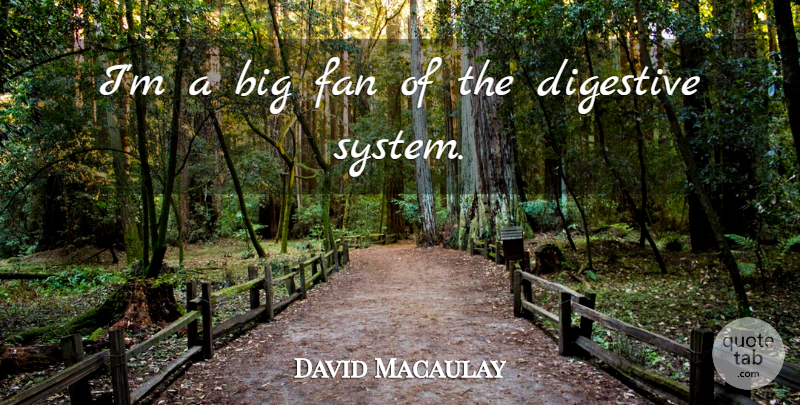 David Macaulay Quote About Fans, Bigs, Digestive System: Im A Big Fan Of...