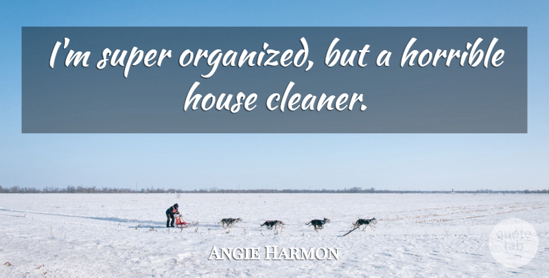 Angie Harmon Quote About House, Horrible, Cleaners: Im Super Organized But A...