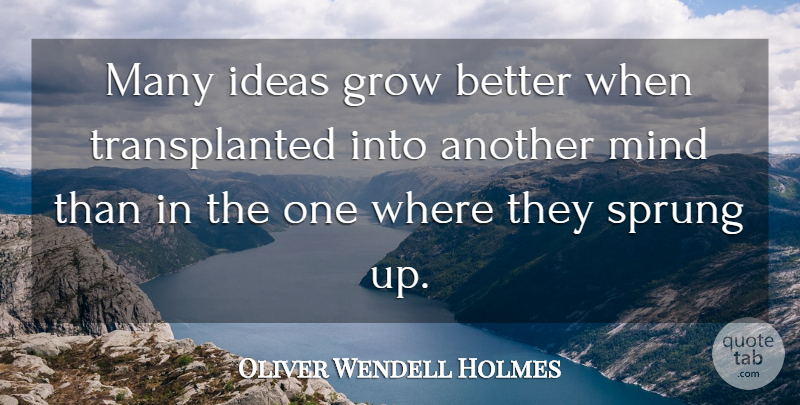 Oliver Wendell Holmes, Jr. Quote About Teamwork, Ideas, Sprung Up: Many Ideas Grow Better When...