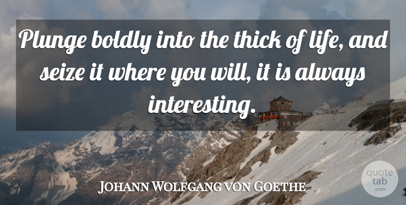Johann Wolfgang von Goethe Quote About Inspirational, Life, Adventure: Plunge Boldly Into The Thick...