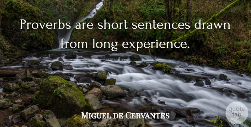 Miguel de Cervantes Quote About Long, Literature, Sentences: Proverbs Are Short Sentences Drawn...