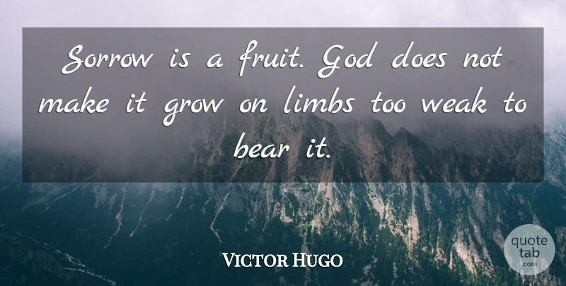 Victor Hugo Quote About Sympathy, Sorrow, Fruit: Sorrow Is A Fruit God...