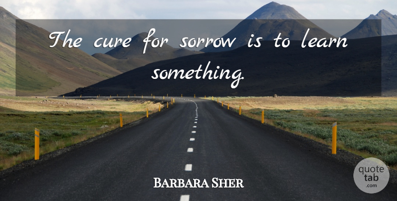 Barbara Sher Quote About Sadness, Sorrow, Cures: The Cure For Sorrow Is...