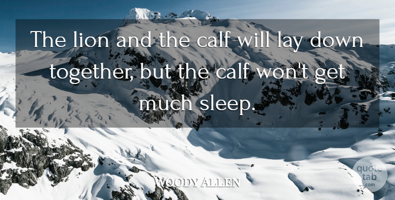 Woody Allen Quote About Calf, Lay, Lion: The Lion And The Calf...