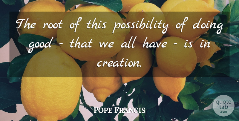 Pope Francis Quote About Roots, Creation, Possibility: The Root Of This Possibility...