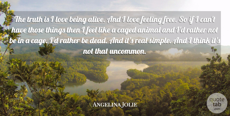 Angelina Jolie Quote About Love, Life, Freedom: The Truth Is I Love...