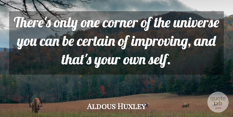 Aldous Huxley Quote About Certain, Corner, English Novelist: Theres Only One Corner Of...
