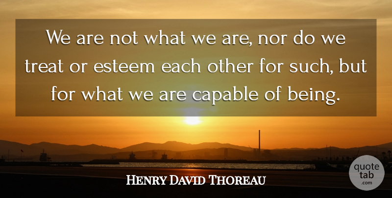 Henry David Thoreau Quote About Literature, Treats, Esteem: We Are Not What We...