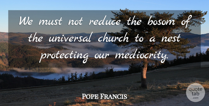 Pope Francis Quote About Church, Nests, Mediocrity: We Must Not Reduce The...