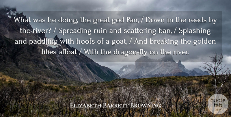 Elizabeth Barrett Browning Quote About Afloat, Breaking, God, Golden, Great: What Was He Doing The...