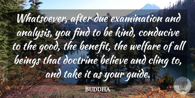 Buddha Quote About Beings, Belief, Believe, Cling, Conducive: Whatsoever After Due Examination And...