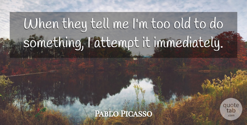 Pablo Picasso Quote About Attempt: When They Tell Me Im...