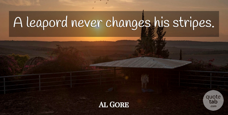 Al Gore Quote About Stupidity, Stripes, Never Change: A Leapord Never Changes His...
