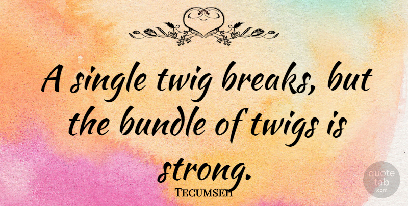 Tecumseh Quote About Strength, Being Strong, Break: A Single Twig Breaks But...