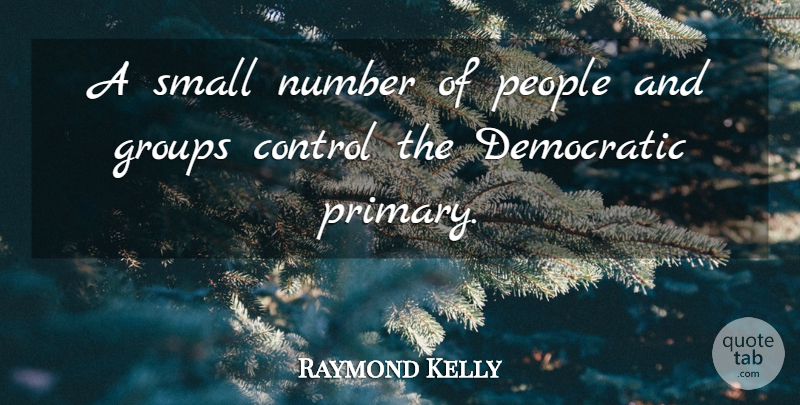 Raymond Kelly Quote About Groups, Number, People: A Small Number Of People...