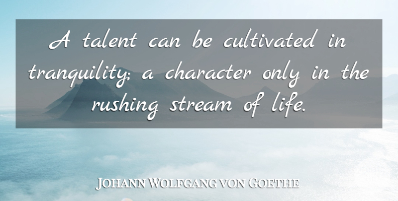 Johann Wolfgang von Goethe Quote About Character, Rushing, Talent: A Talent Can Be Cultivated...