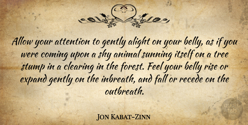 Jon Kabat-Zinn Quote About Fall, Animal, Tree: Allow Your Attention To Gently...