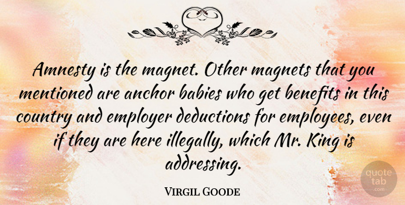 Virgil Goode Quote About Country, Baby, Kings: Amnesty Is The Magnet Other...