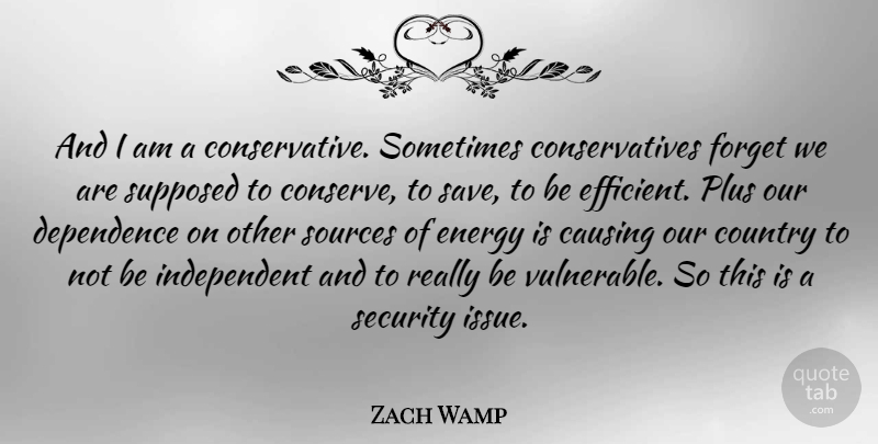 Zach Wamp Quote About Country, Independent, Issues: And I Am A Conservative...
