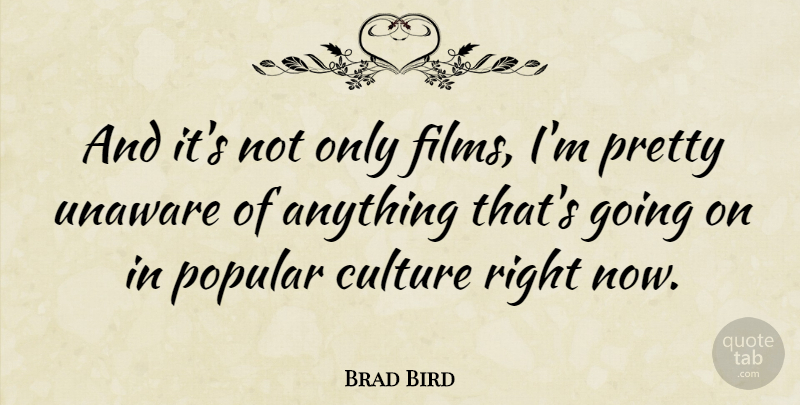 Brad Bird Quote About Culture, Film, Popular Culture: And Its Not Only Films...