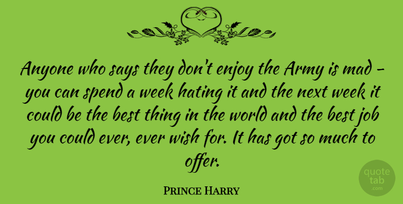 Prince Harry Quote About Jobs, Hate, Army: Anyone Who Says They Dont...