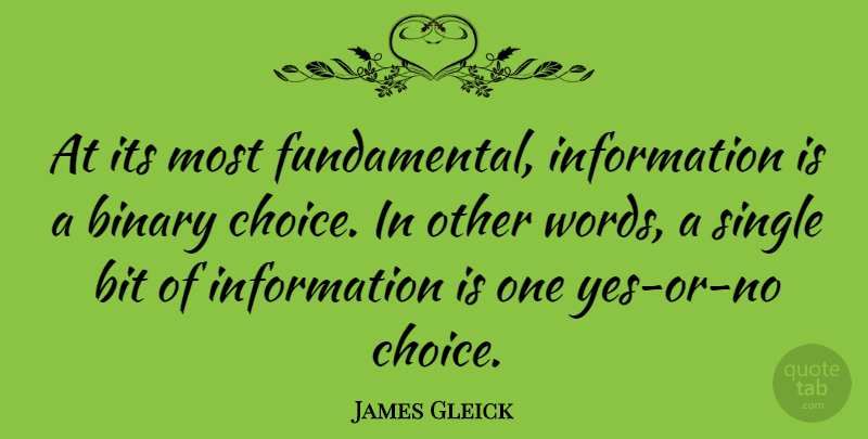 James Gleick Quote About Choices, Information, Fundamentals: At Its Most Fundamental Information...