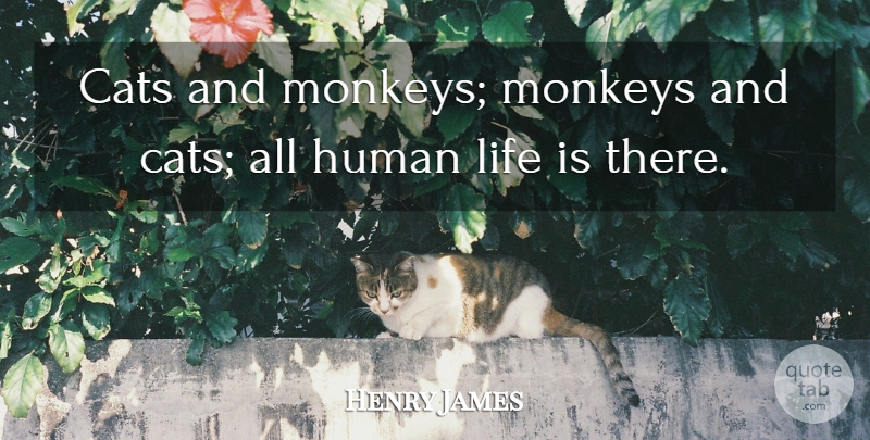 Henry James Quote About Cat, Animal, Monkeys: Cats And Monkeys Monkeys And...