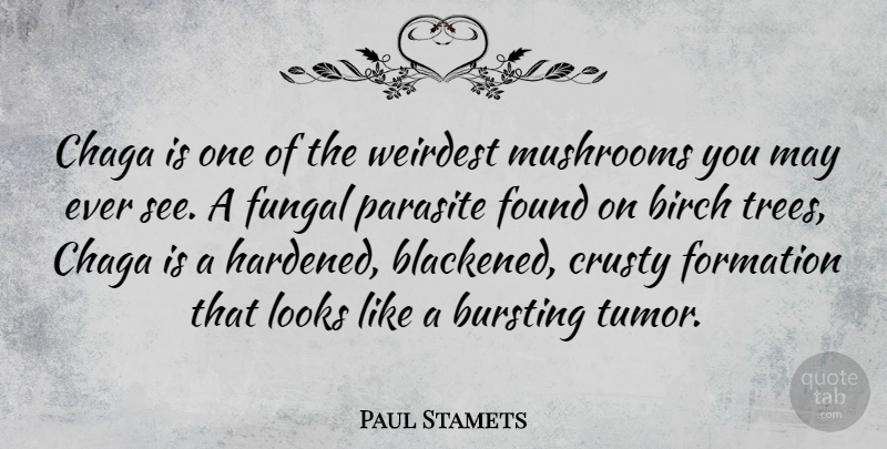 Paul Stamets Quote About Mushrooms, Tree, May: Chaga Is One Of The...