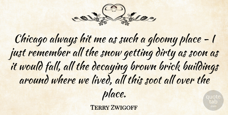 Terry Zwigoff Quote About Brown, Buildings, Chicago, Dirty, Gloomy: Chicago Always Hit Me As...