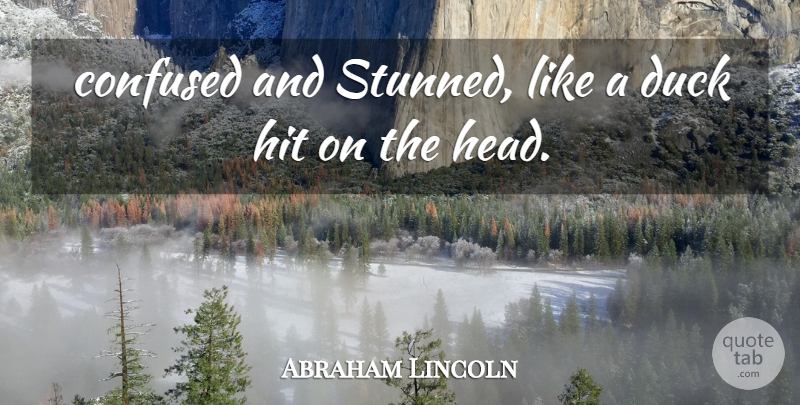 Abraham Lincoln Quote About War, Confused, Ducks: Confused And Stunned Like A...