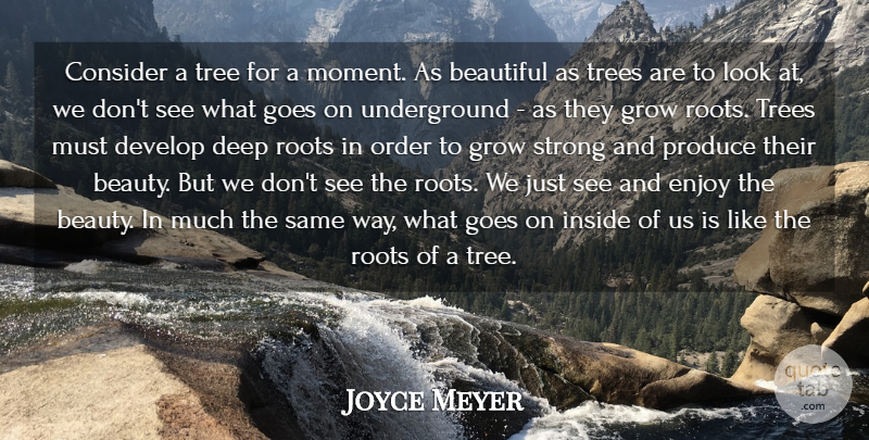 Joyce Meyer Quote About Beautiful, Strong, Order: Consider A Tree For A...