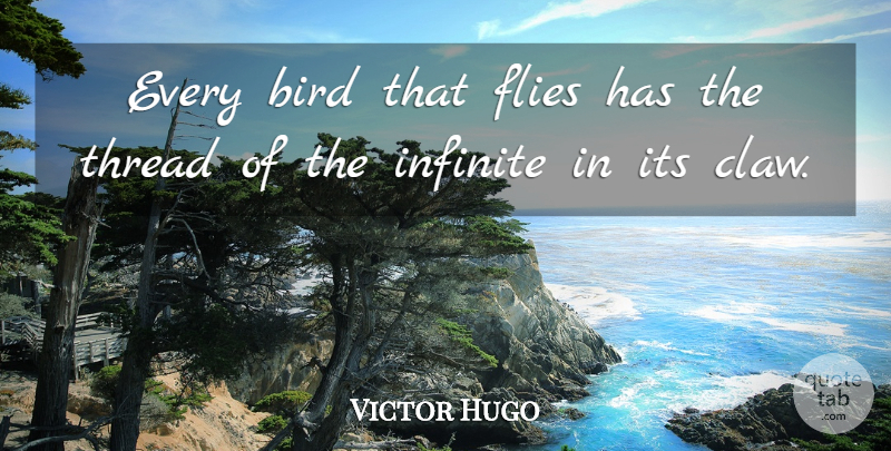 Victor Hugo Quote About Philosophical, Bird, Flying: Every Bird That Flies Has...