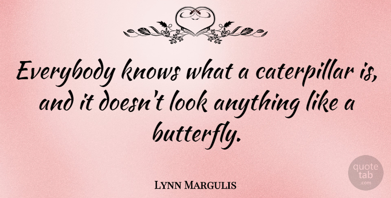 Lynn Margulis Quote About Butterfly, Looks, Caterpillars: Everybody Knows What A Caterpillar...