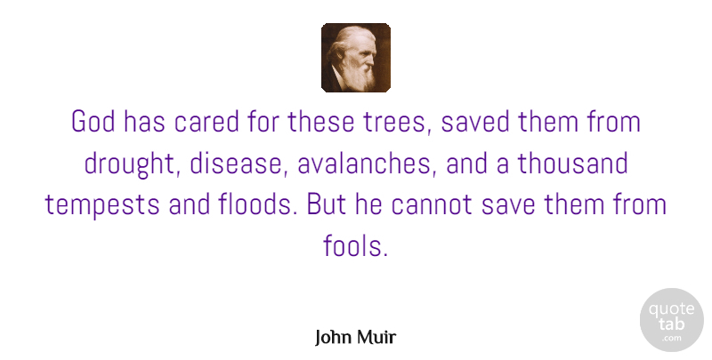 John Muir Quote About Nature, Sea, Tree: God Has Cared For These...