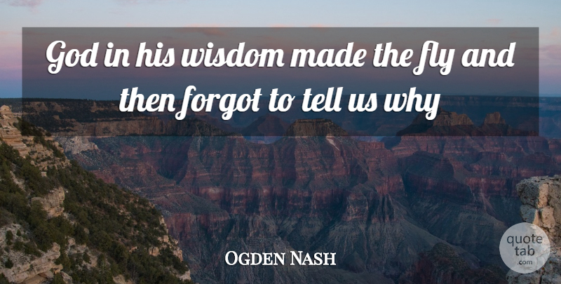 Ogden Nash Quote About Silly, Bugs, Insects: God In His Wisdom Made...