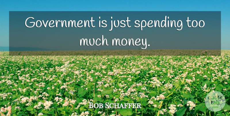 Bob Schaffer Quote About Government, Too Much, Spending: Government Is Just Spending Too...
