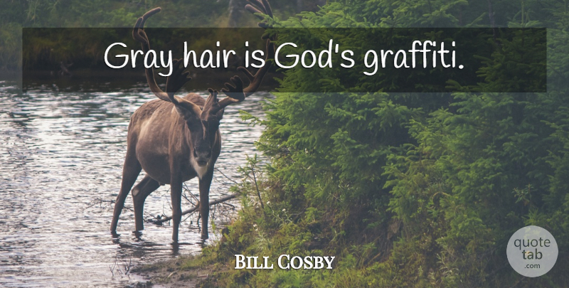 Bill Cosby Quote About Funny, God, Humor: Gray Hair Is Gods Graffiti...