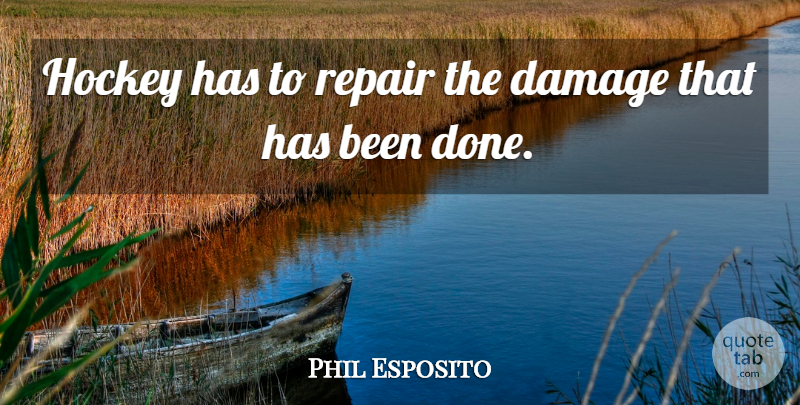 Phil Esposito Quote About Damage, Hockey, Repair: Hockey Has To Repair The...