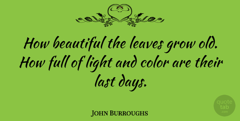 John Burroughs Quote About Beauty, Beautiful, Nature: How Beautiful The Leaves Grow...