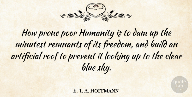 E. T. A. Hoffmann Quote About Blue, Sky, Humanity: How Prone Poor Humanity Is...