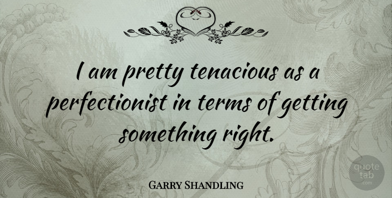 Garry Shandling Quote About Beauty, Perfectionist, Term: I Am Pretty Tenacious As...