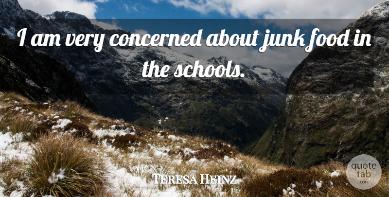 Teresa Heinz Quote About Concerned, Food, Junk: I Am Very Concerned About...